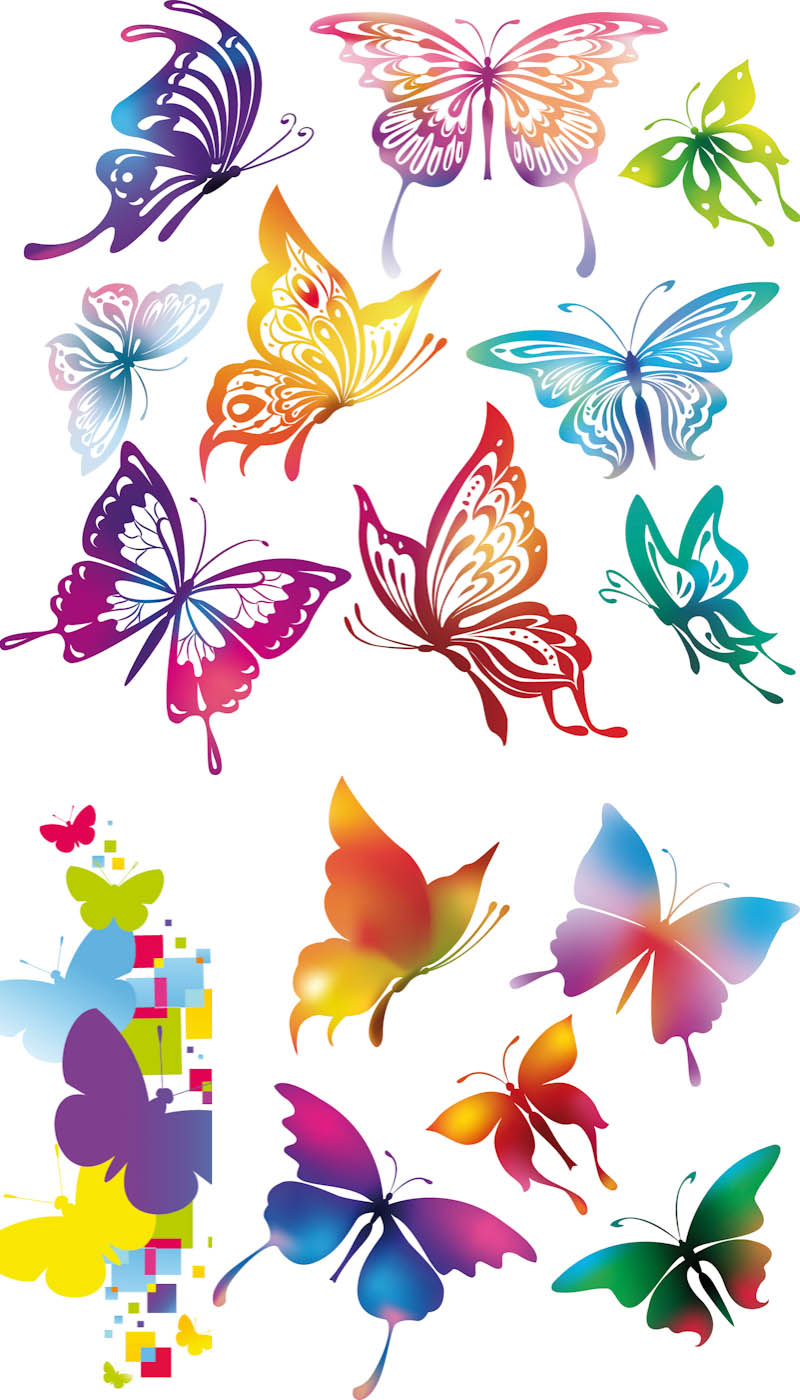 Colorful Butterfly Vector