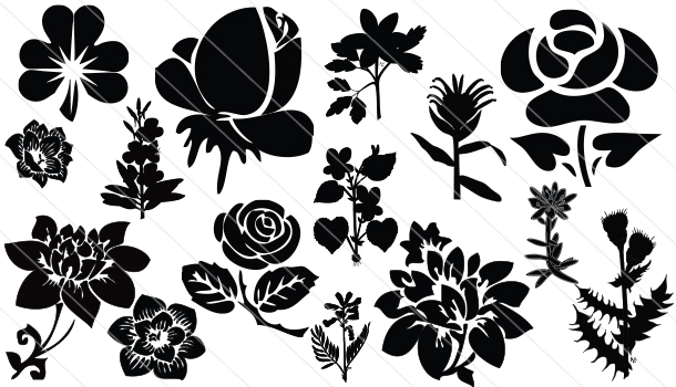 Flowers Silhouette Vector