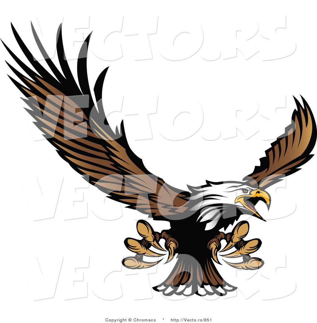 Flying Bald Eagle Clip Art