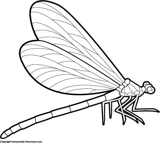 Free Dragonfly Clip Art Black and White