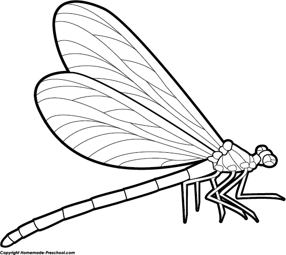Free Dragonfly Clip Art Black and White Free Dragonfly Clip Art Black and White