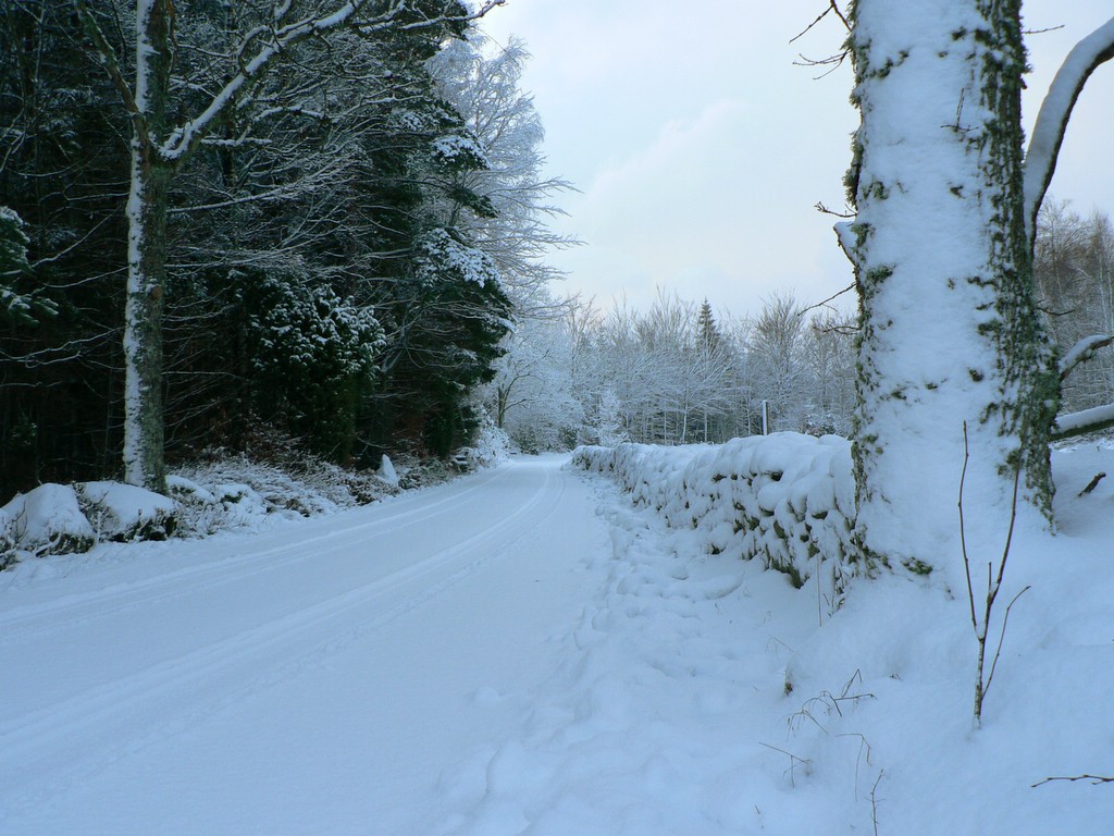 5 Free Stock Photos Winter Images