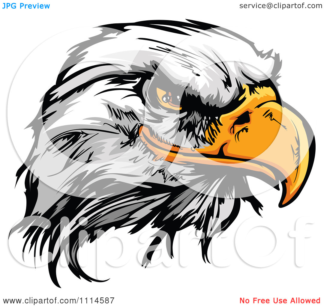 Free Mascot Eagle Head Clip Art