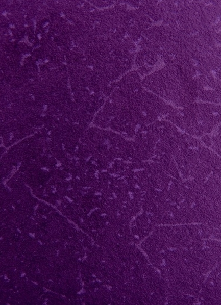 Free Purple Web Background