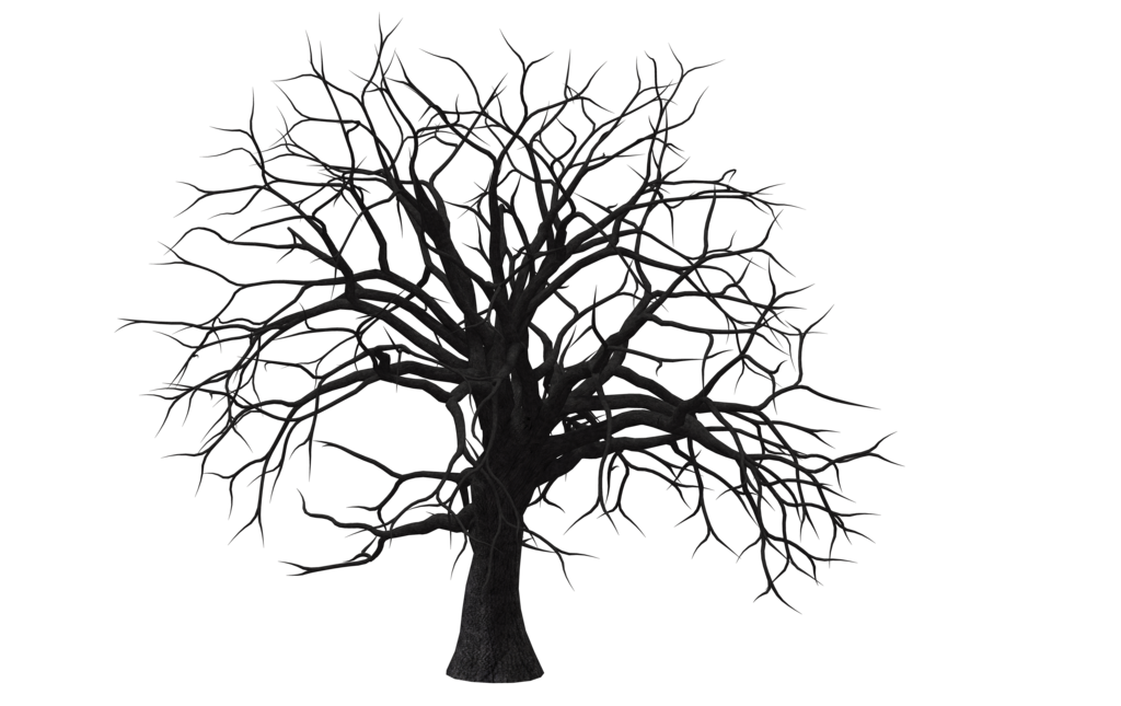 Free Stock Tree Art