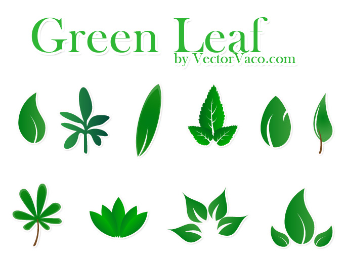 14 Green Leaf Vector Images