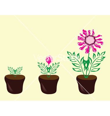 Growing Flower Cartoon
