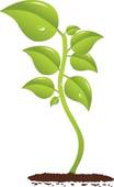 Growing Plant Clip Art