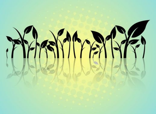 10 Growing Flowers Vector Graphic Images