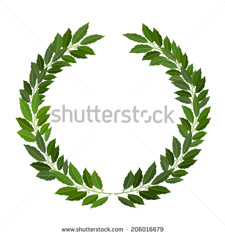 Laurel Leaves Vector