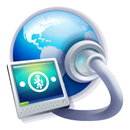 Network Connection Icon