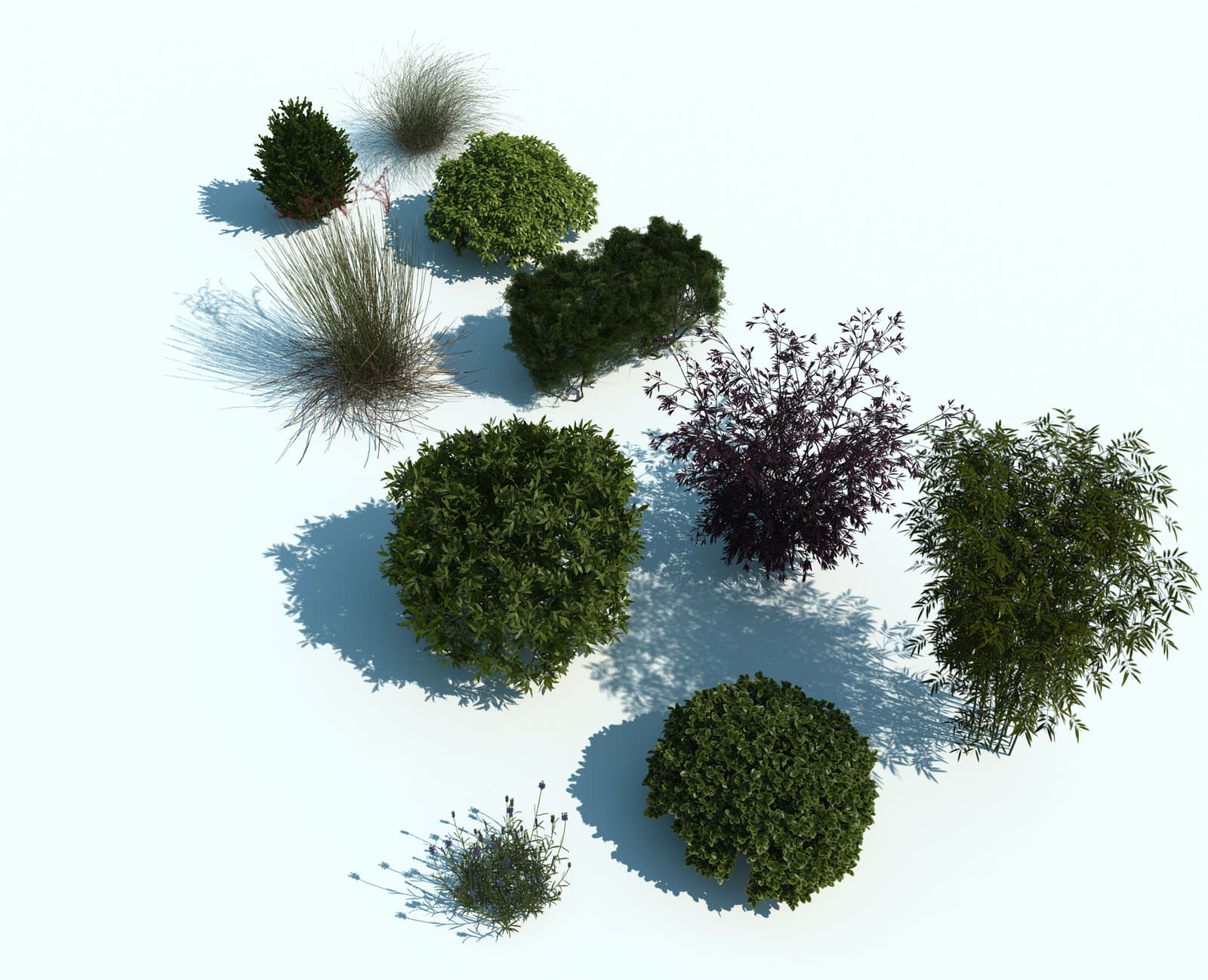 Photoshop Architectural Plants