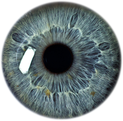 PNG Blue Eye Lenses