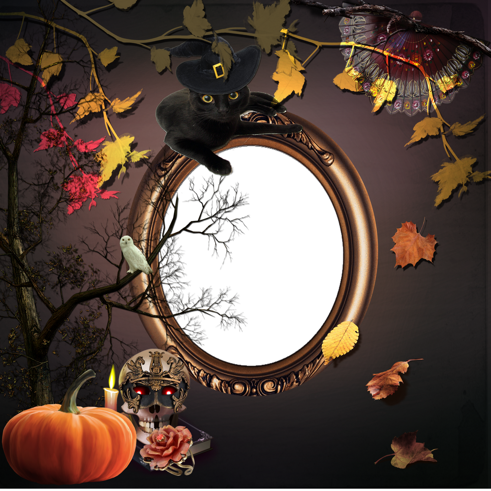 Transparent Frames Halloween Photoshop