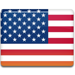 United States Flag Icon