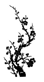 Vector Cherry Blossom Branches