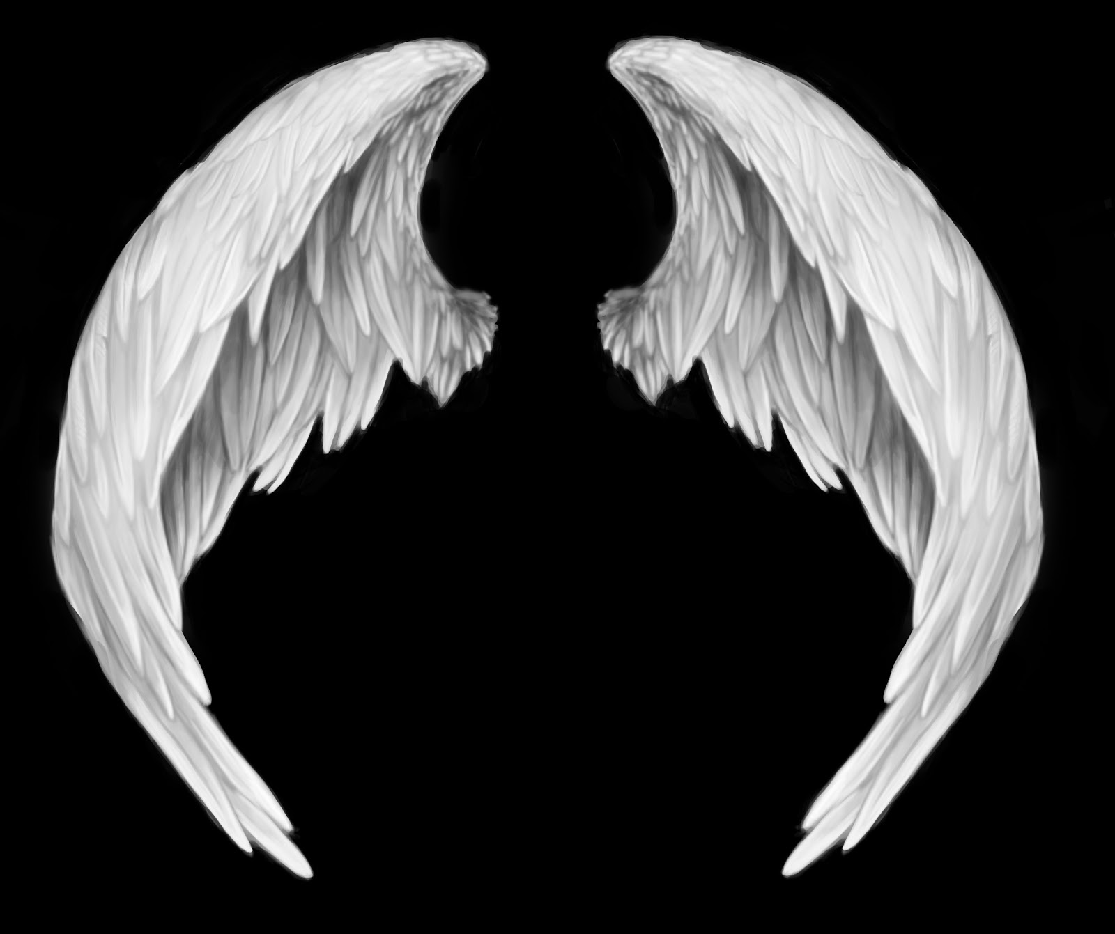 White Angel Wings