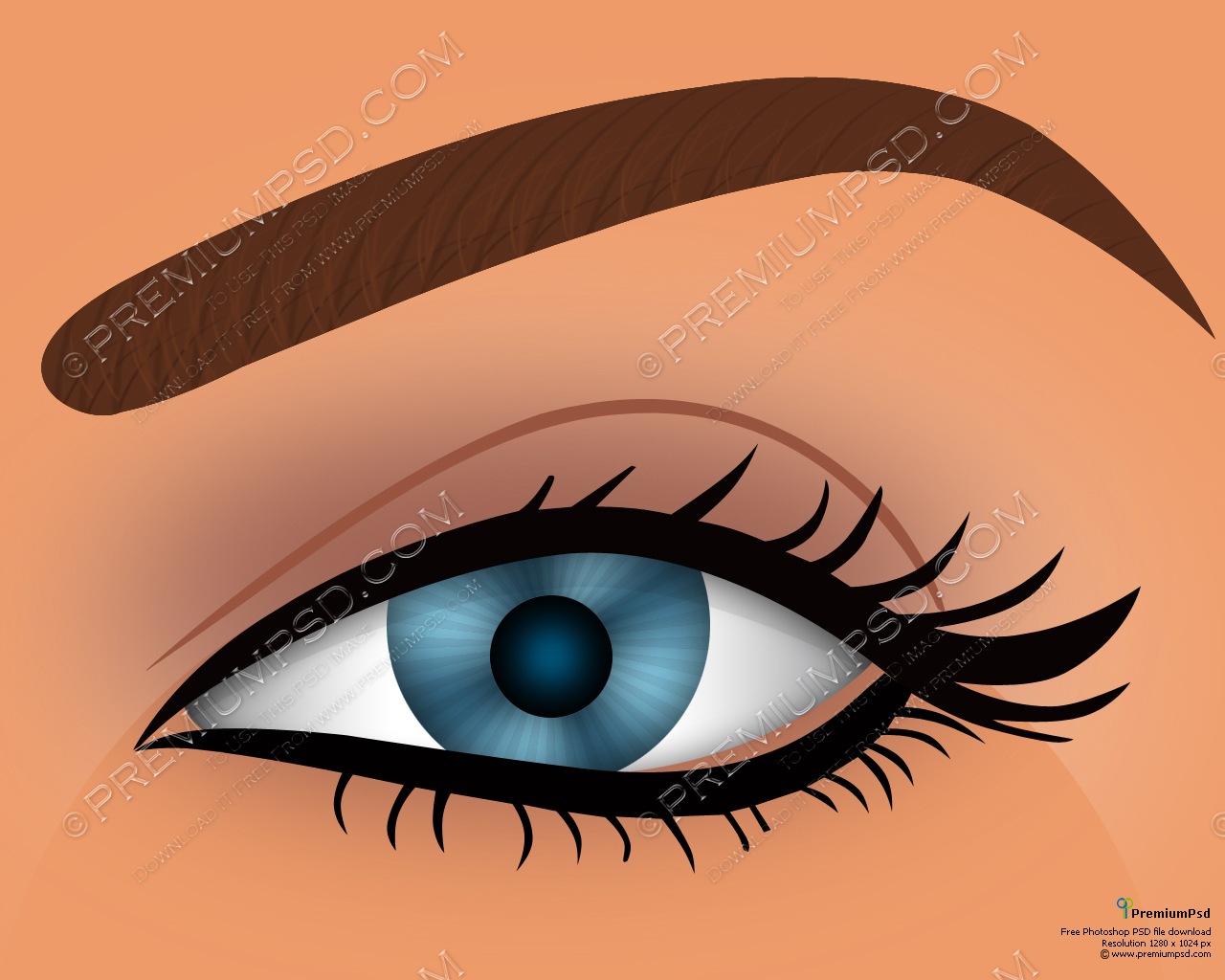 Women's Eyes Vector