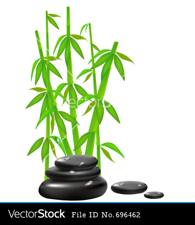 Zen Bamboo Vectors Zen Bamboo Vectors
