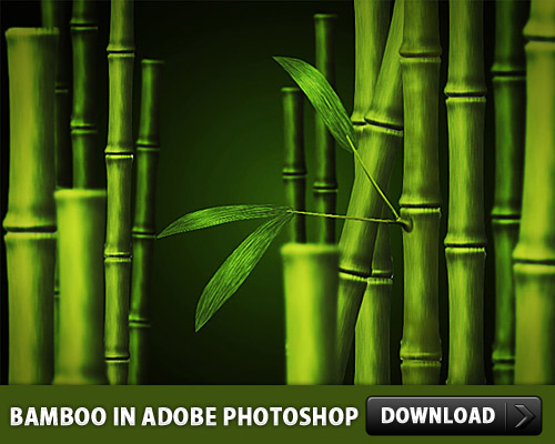 Adobe Photoshop PSD Files Free Download