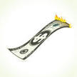 Burn Money Illustration