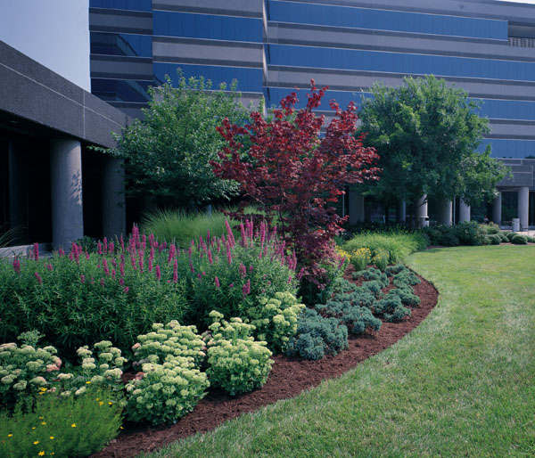 Commercial Landscape Design Ideas