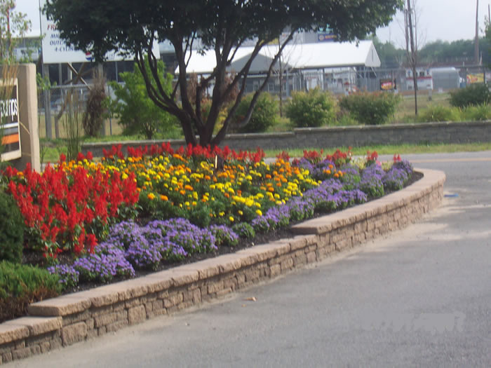 Commercial Landscape Design