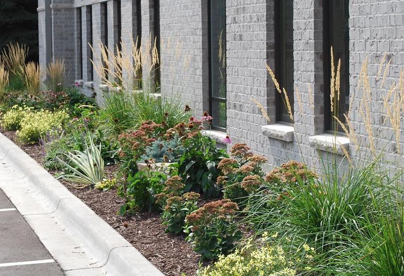 Commercial Landscaping Design