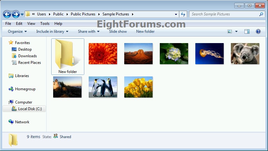 Example Files Folders Windows