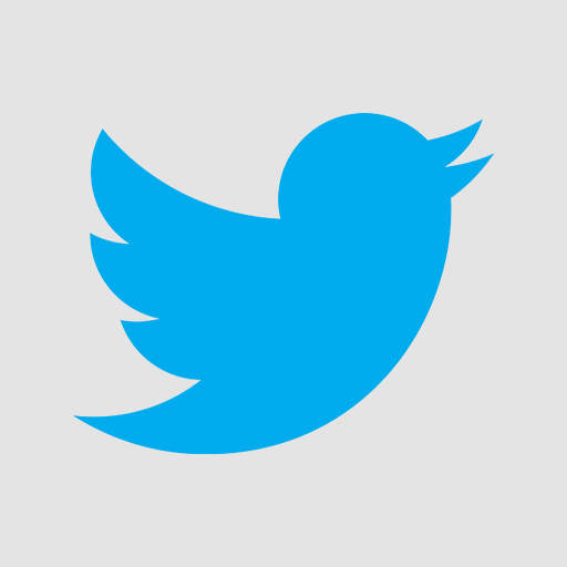Flat Twitter Icon Flat Twitter Icon