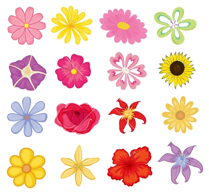 Free Vector Flowers