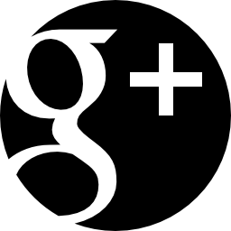 Google Plus Circle Icon