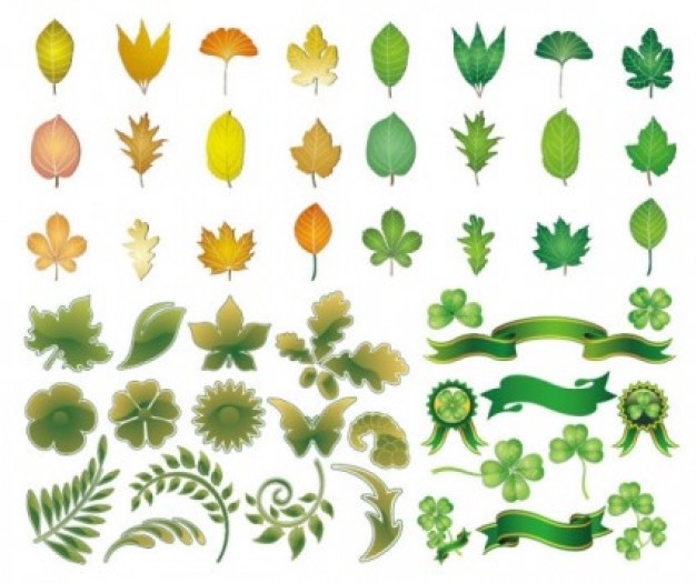 House Plant Leaf Identification Chart