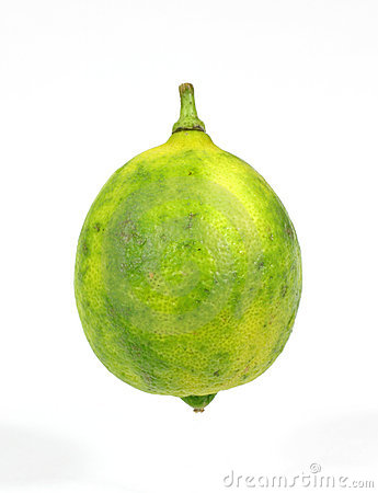 Key Lime Fruit