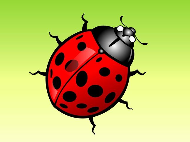 17 Free Bug Vectors Pinterest Images