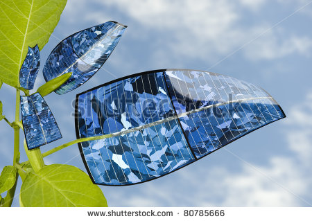 Leaf Solar Panel