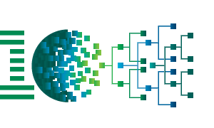 Management Information Systems Icon