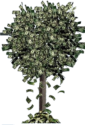 Money Falling From Tree