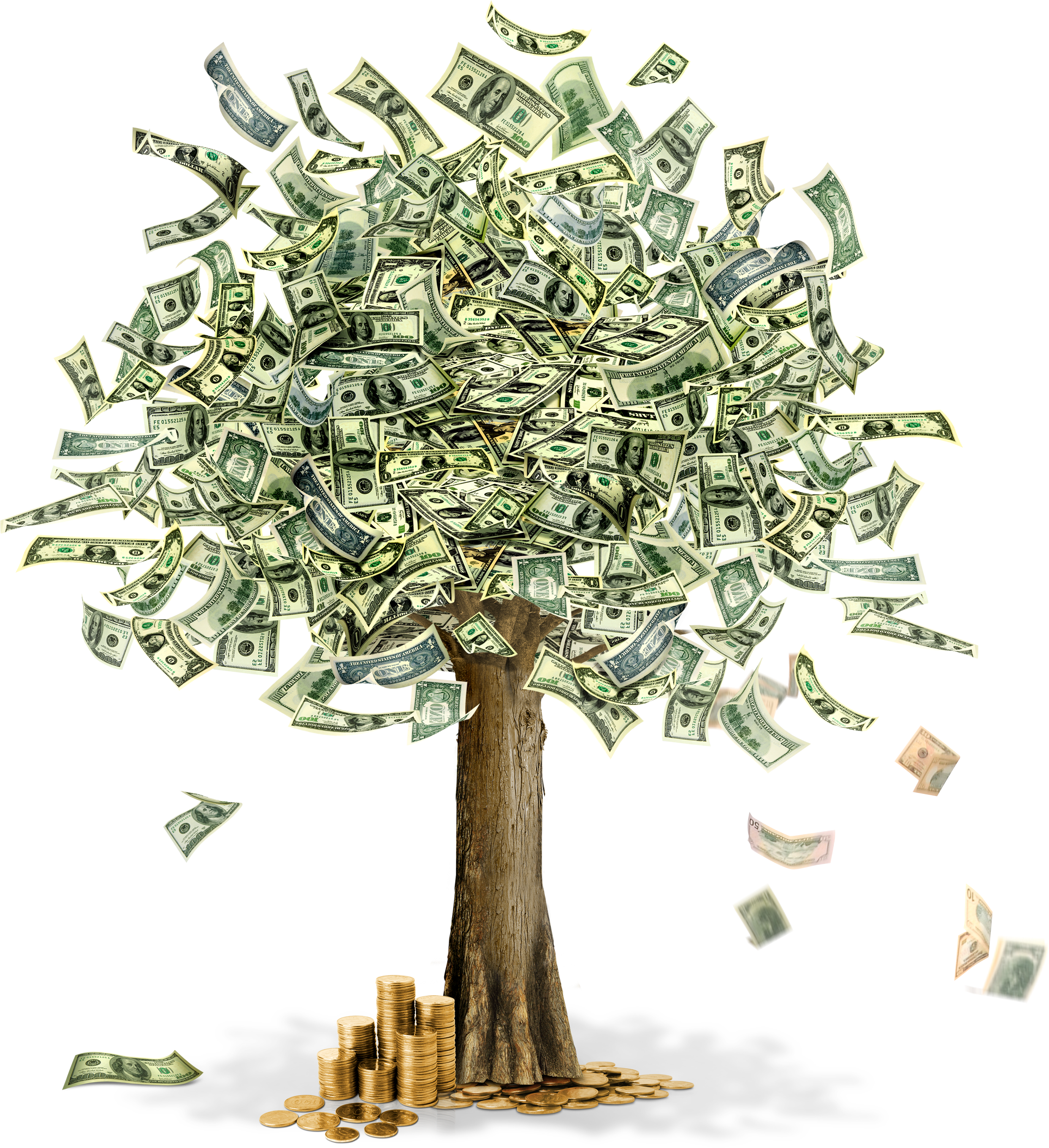 Money Tree Clip Art