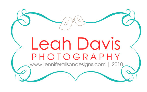 Photography Business Logo Design