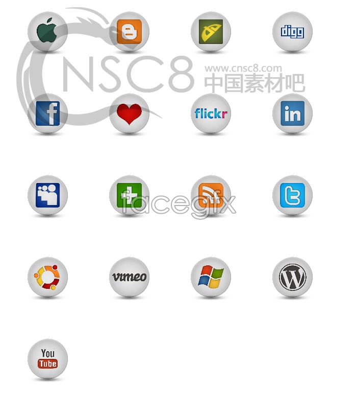 Social Networking Logos Icons