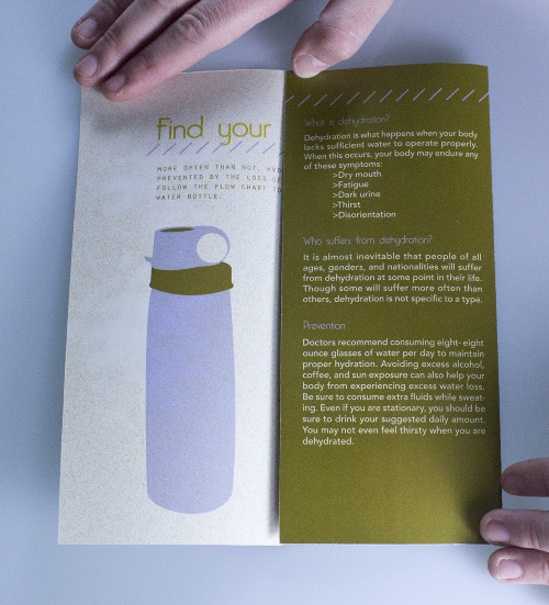 Tri-Fold Brochure Inspiration Tri-Fold Brochure Inspiration
