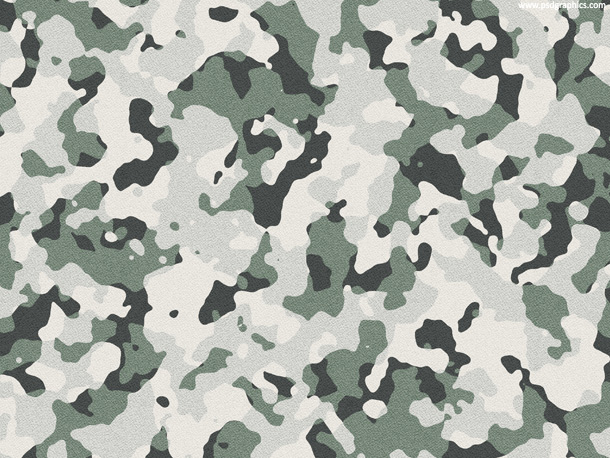 Universal Camouflage Pattern