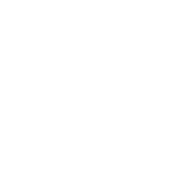 White Heart Icon