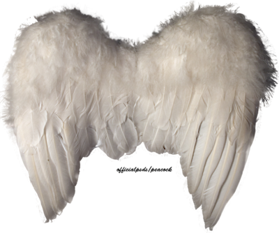 Angel Wings PSD