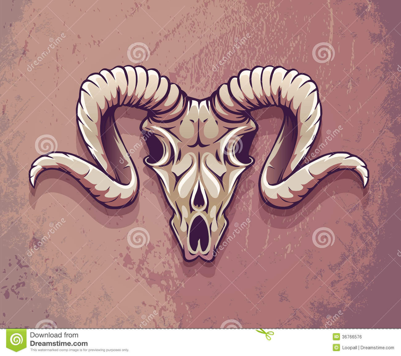 Animal Skull with Horns
