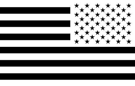 Black and White American Flag