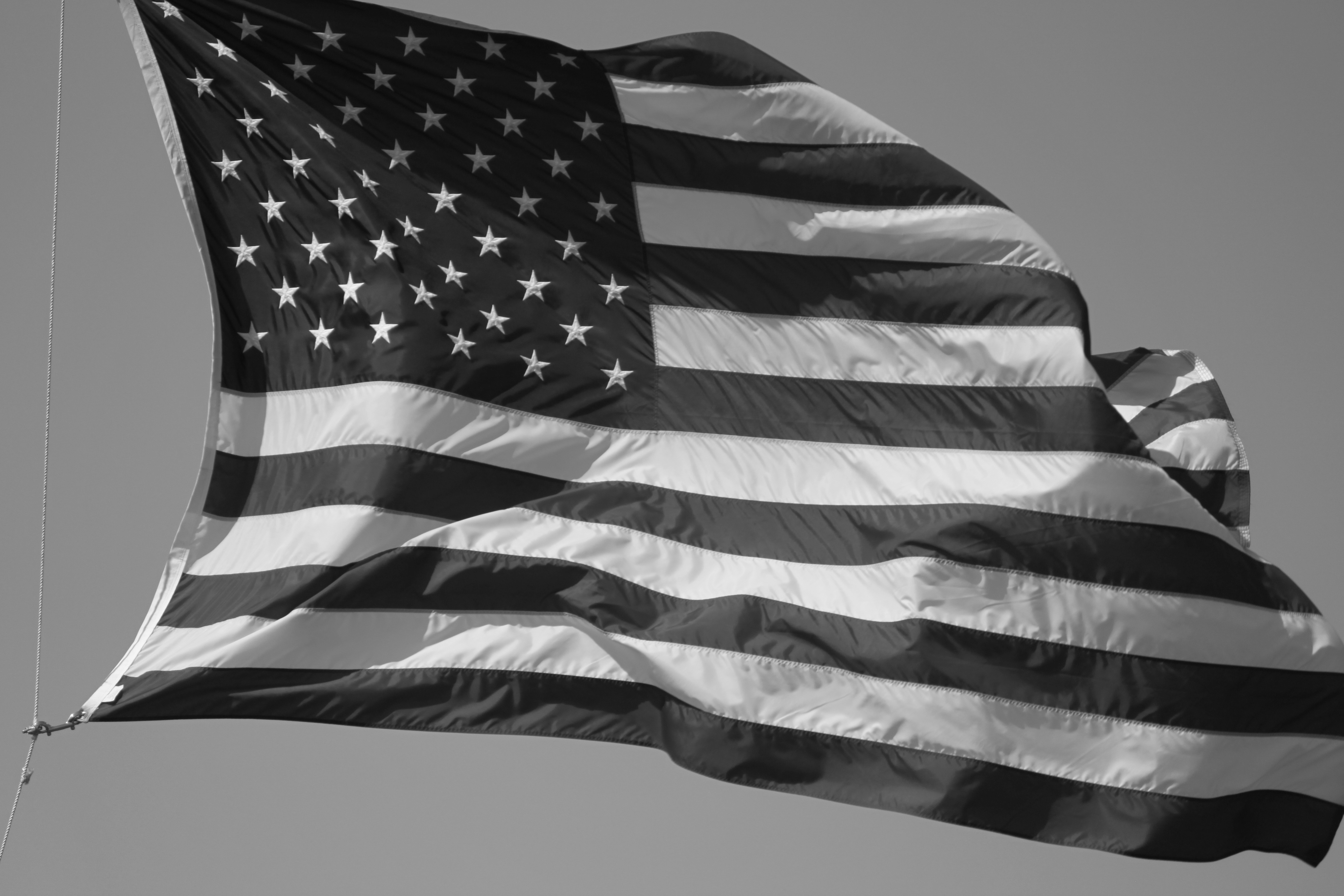 Black and White American Flag