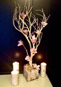 Candle Holders for Manzanita Centerpieces