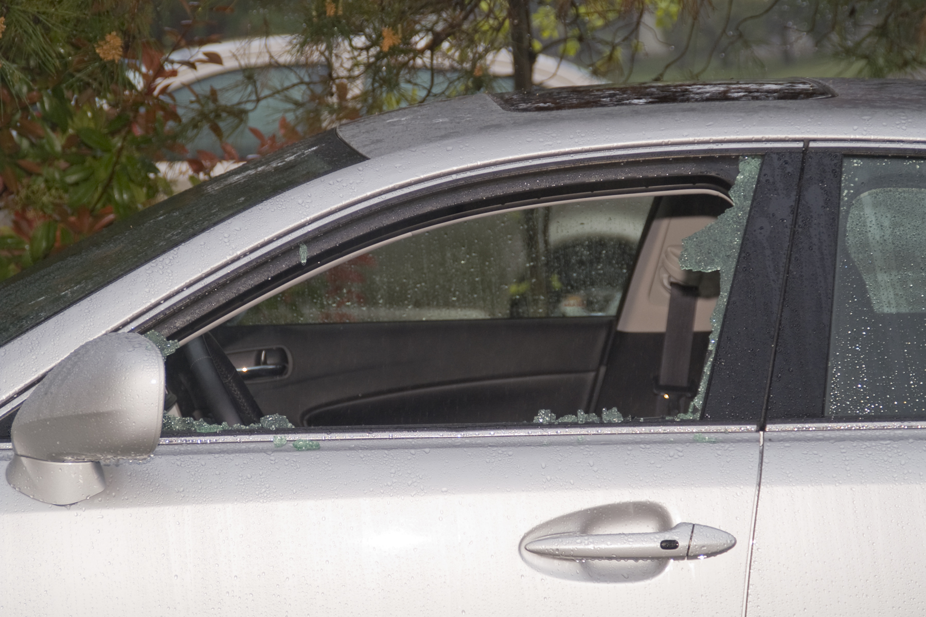 Car with Window Open